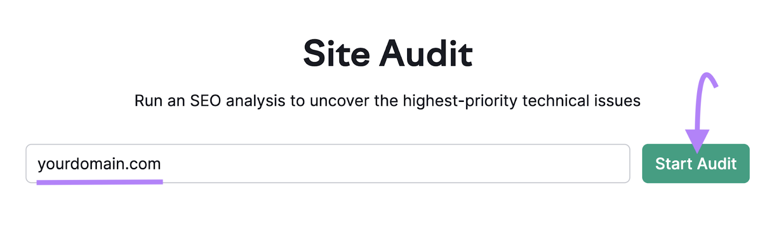 Site Audit search bar