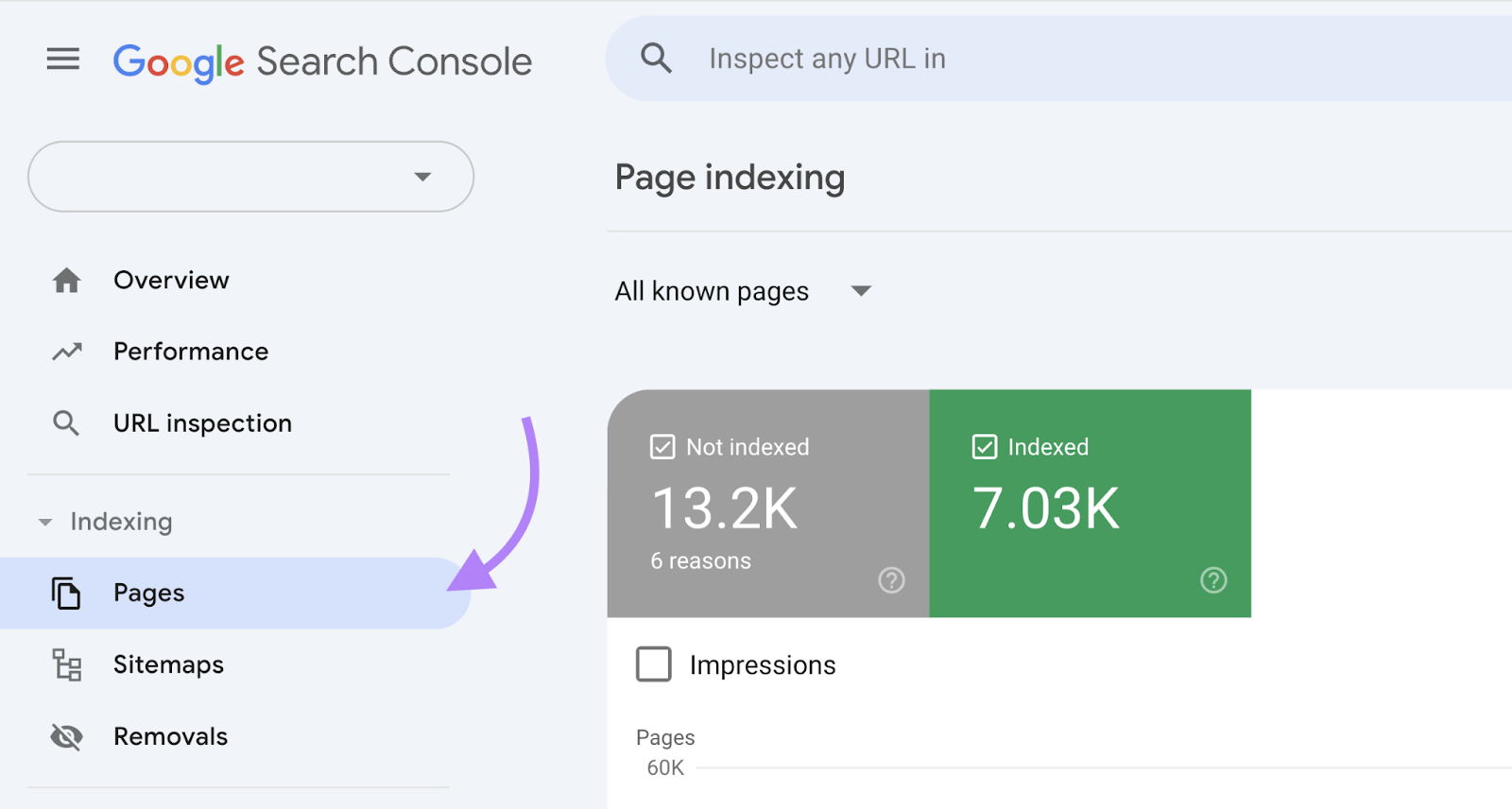 Google Search Console Pages report