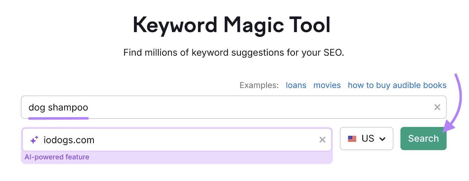 Keyword and domain are entered into the tool