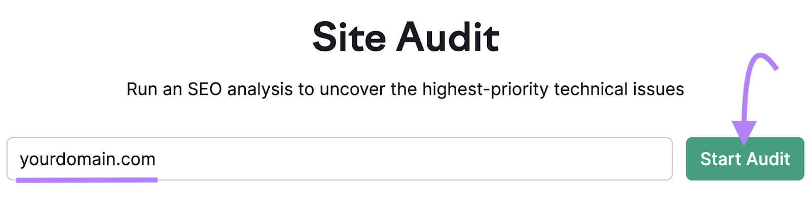 Site Audit search bar