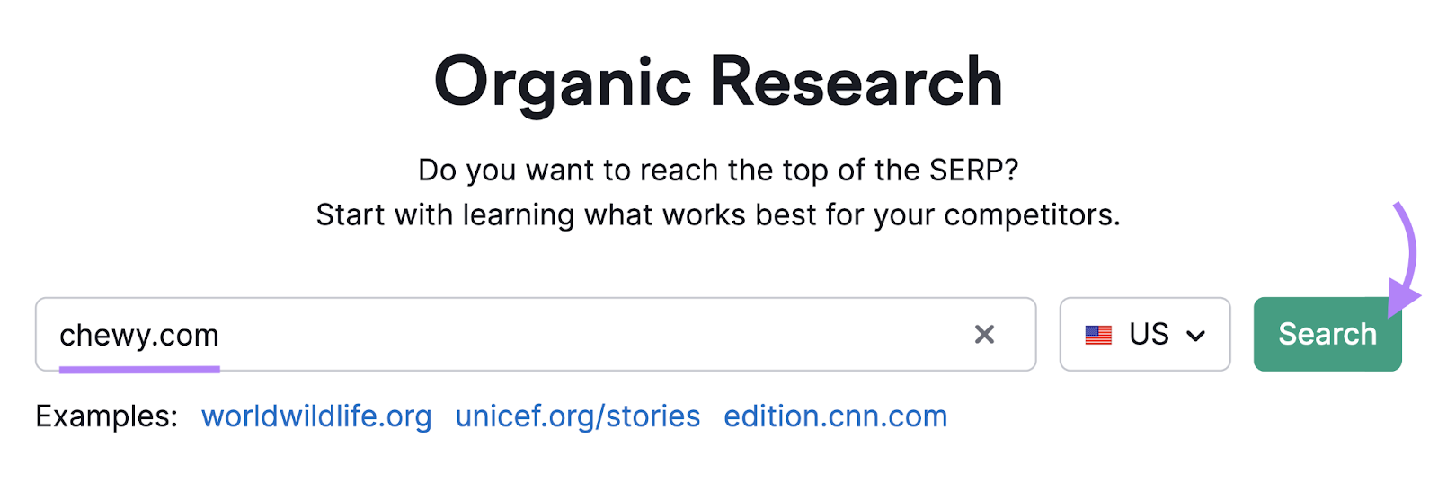 search for chewy.com in organic research tool