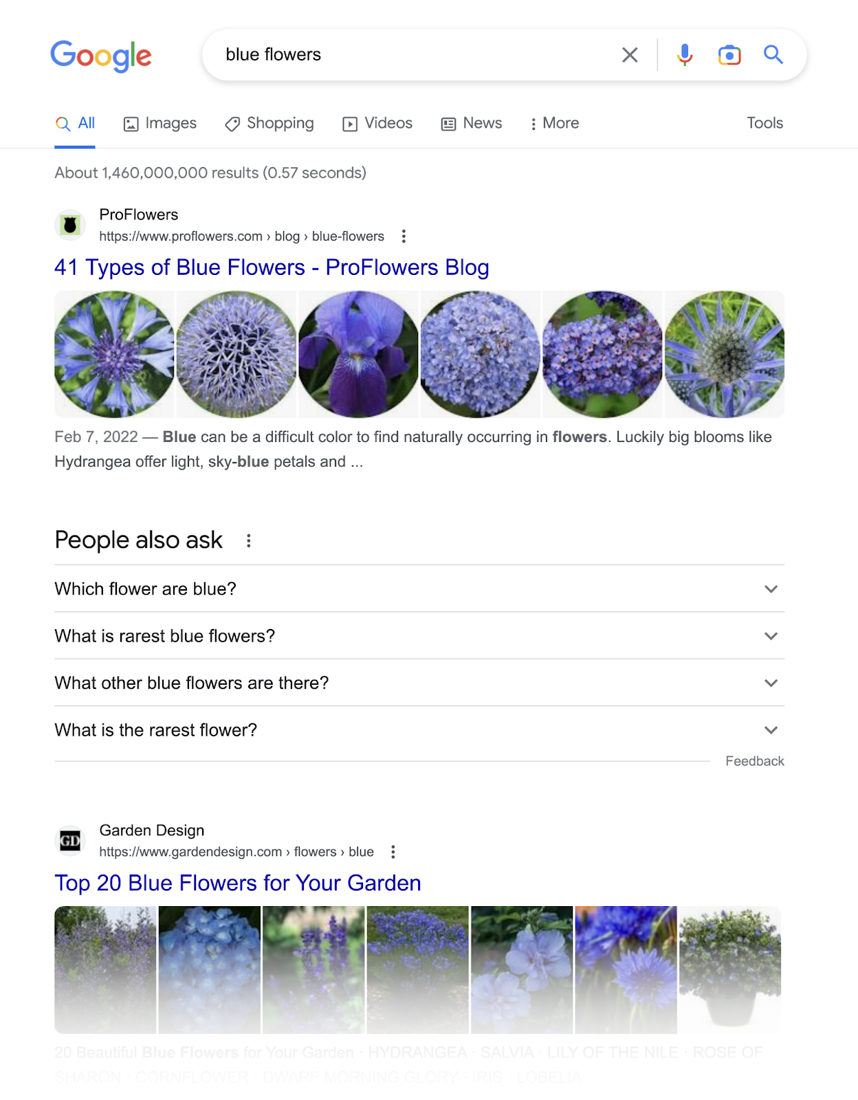 SERP for blue flowers shows images with organic listings and the people also ask serp feature