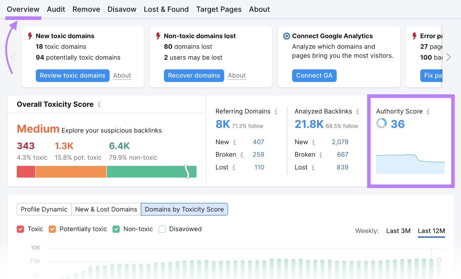 "Overview" section in Backlink Audit tool