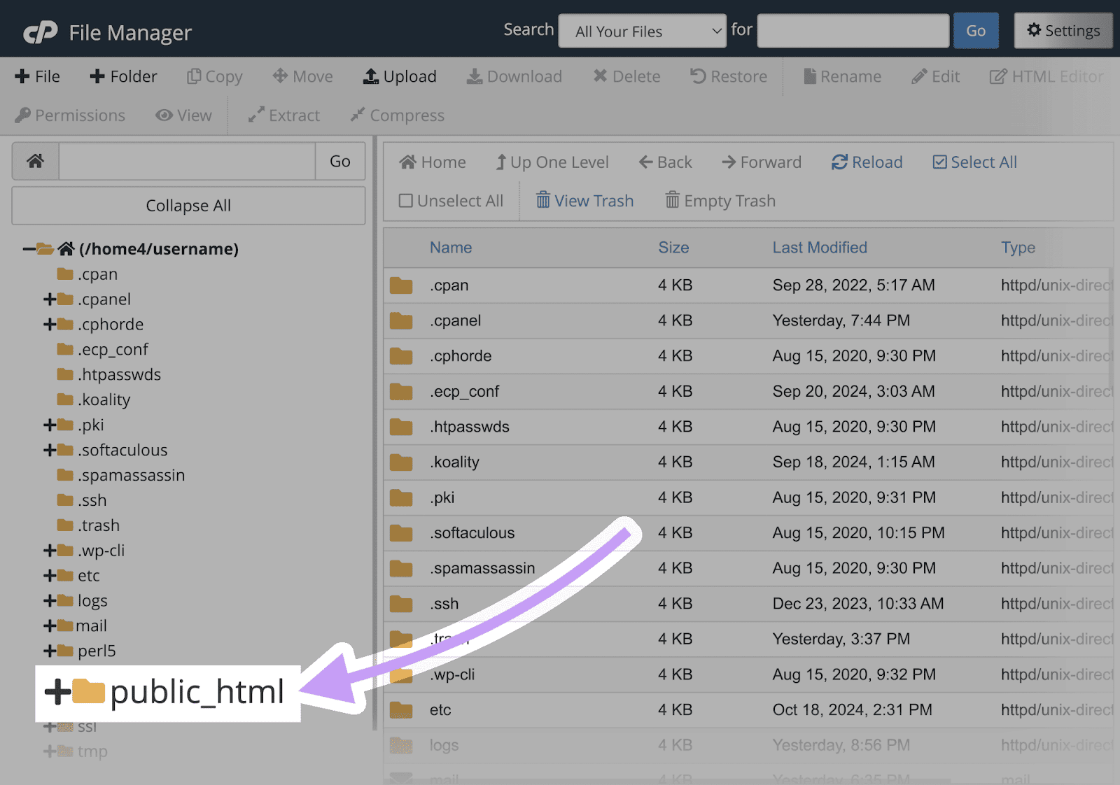 public_html folder in Bluehost's file manager