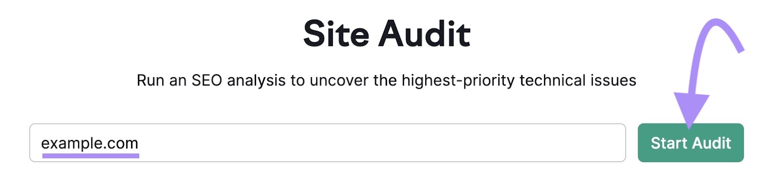 Site Audit tool search bar