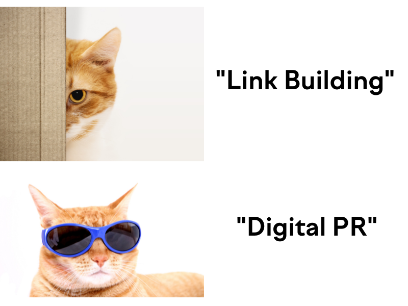 Cat meme - the top cat, orange striped, is peeking out from behind a wall, the bottom cat is cool in his blue sunglasses. They are labeled "link building" and "digital PR"