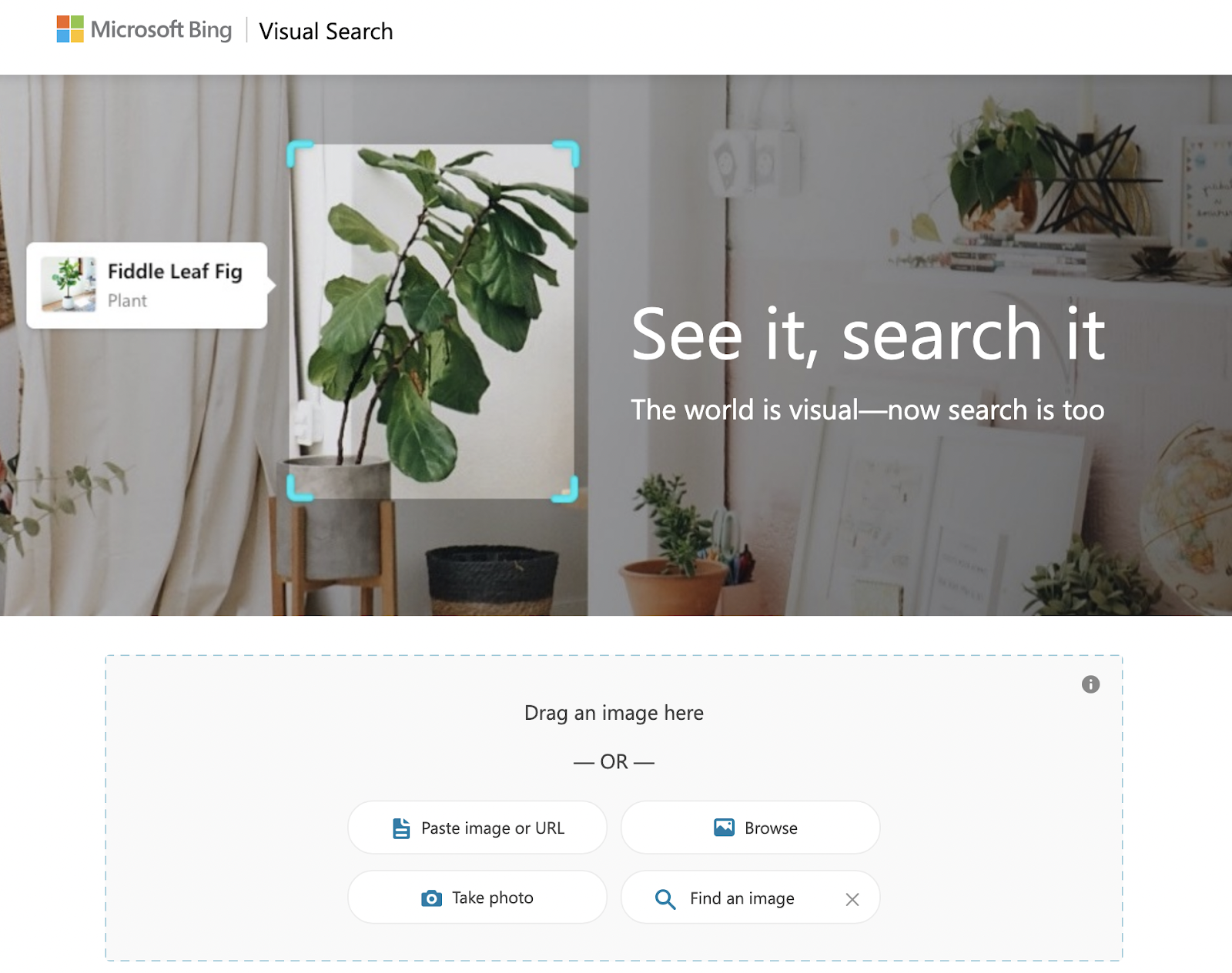 Bing Visual Search