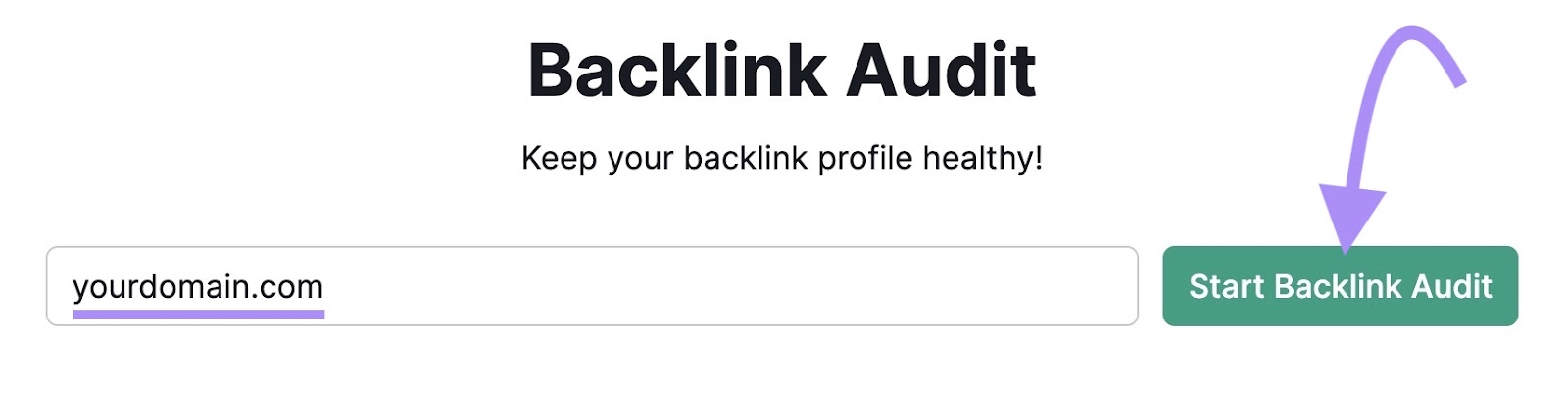 Backlink Audit tool search bar