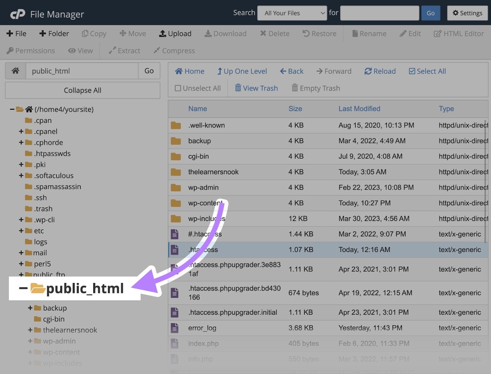 "public_html" file in “File Manager” side menu