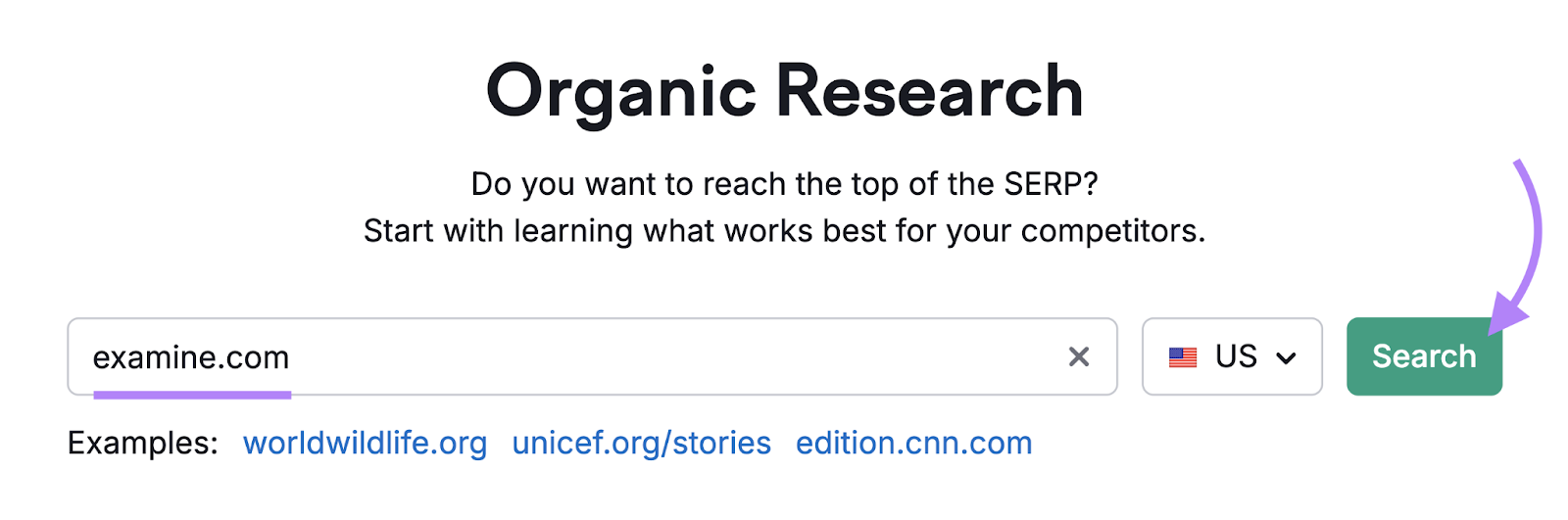 domain entered into Organic Research tool