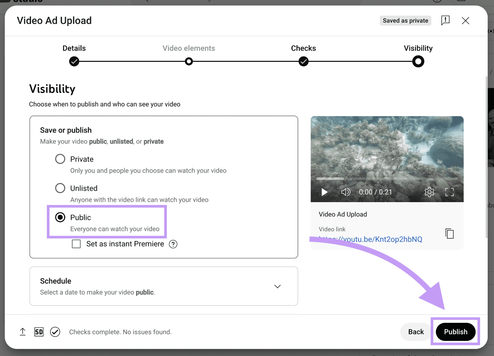 YouTube visibility settings with the visibility set to "Public"