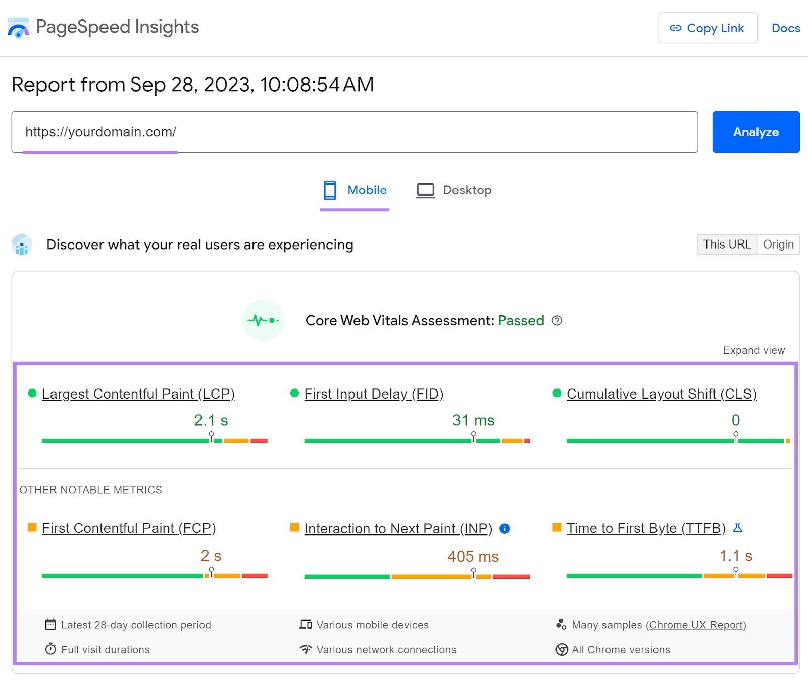 Google PageSpeed Insights dashboard