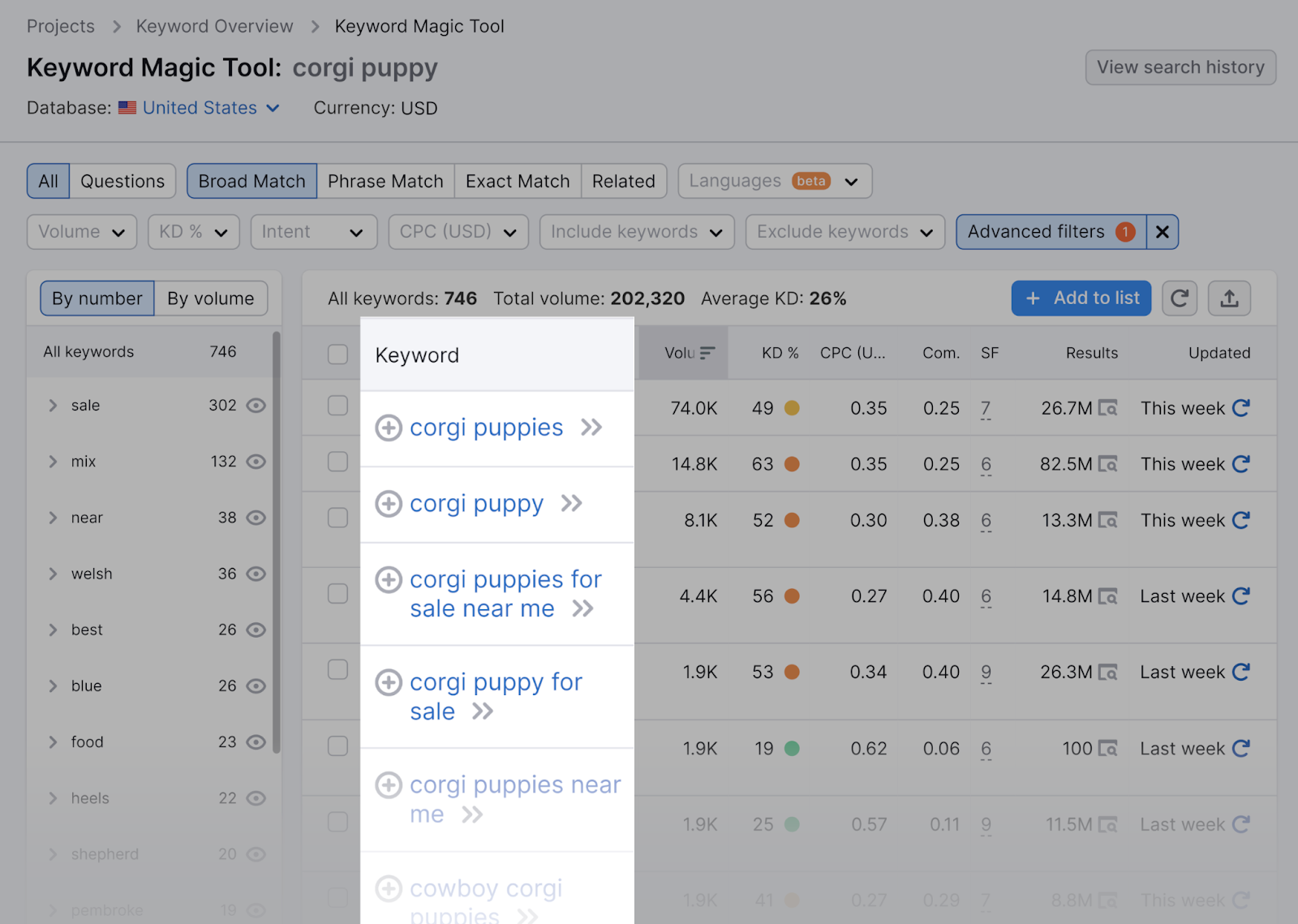 Results for "corgi puppy" in Keyword Magic Tool. Results include "corgi puppies" and "corgi puppies near me."