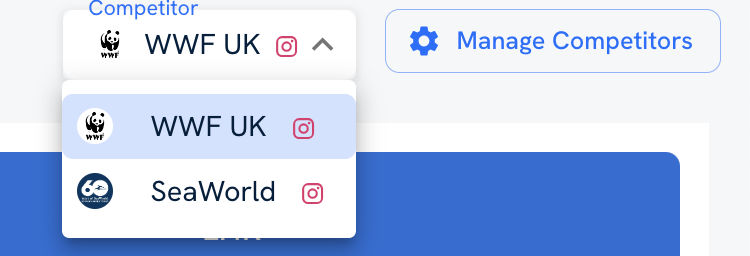 The competitor drop-down menu, to the left of the Manage Competitors button. Expanded, it shows all the competitor profiles you've added to the tool, with the currently active one highlighted in gray. Click on the handle you want to analyze to select it.